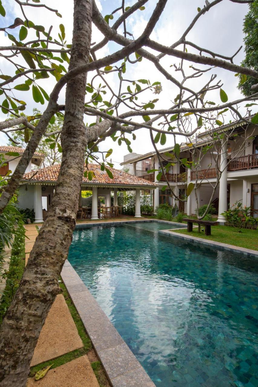 Bilin Tree House Hotel Galle Exterior photo